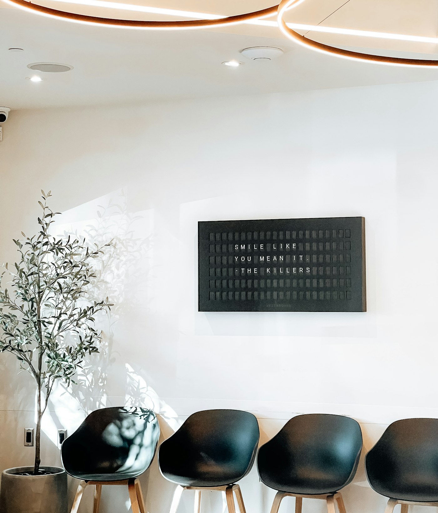 A modern, light-filled clinic waiting room with comfortable seating